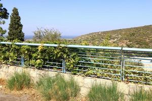 clôture dans le parc de la ville au bord de la mer méditerranée. photo