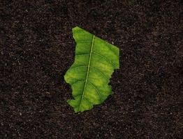 carte du tchad faite de feuilles vertes sur le concept d'écologie de fond de sol photo