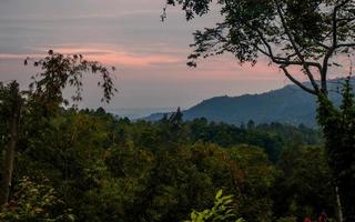 paysage de coucher de soleil boisé. photo