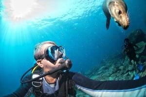 photographe plongeur s'approchant de la famille des lions de mer sous l'eau photo