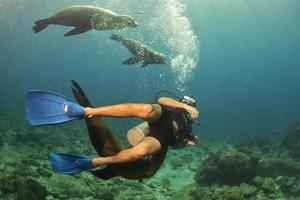 plongeur s'approchant de la famille des lions de mer sous l'eau pour s'amuser et jouer photo