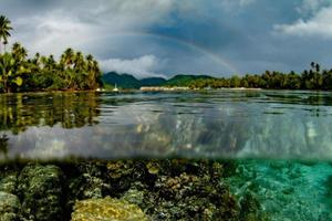 plongée en apnée en polynésie française jardins de récifs coralliens et arc-en-ciel photo