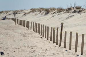 plage de sable d'ocean city maryland photo