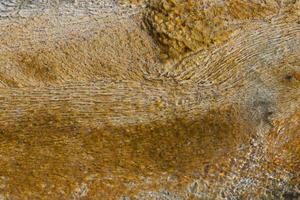 fond naturel de sources chaudes de yellowstone photo