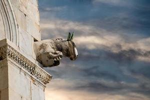 dôme de pise et tour penchée vue détaillée photo