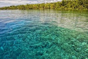 lumières claires sur le récif au paradis tropical photo