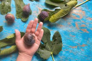 figues fraîches à la main avec fond nature photo