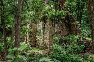 paysage de jungle avec des ruines mexicaines à xichu guanajuato photo