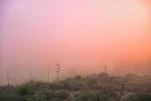 paysage mexicain avec opuntia et ciel rouge le matin pour faire de la randonnée photo