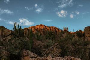 paysage aride et désertique dans le désert de tataco au mexique photo