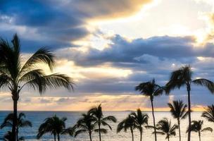 coucher de soleil sur la plage avec des palmiers photo