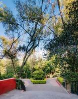 parc alameda à san miguel de allende photo