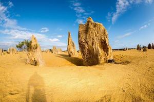 parc des pinacles dans l'ouest de l'australie photo