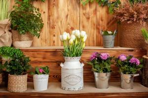 bouquet de tulipes blanches photo