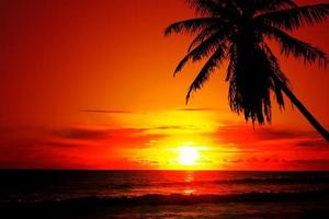 beau paysage de coucher de soleil sur la côte tropicale photo