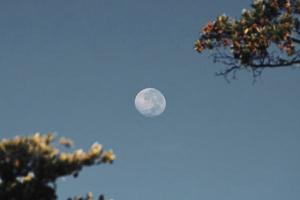 photo de la lune à l'aube