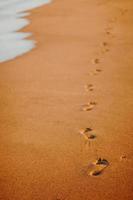 traces de pas dans le sable photo