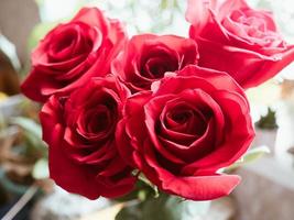 bouquet de rose rouge photo