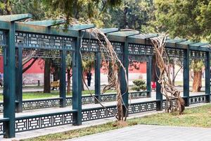 allée dans un parc public de la ville de pékin au printemps photo