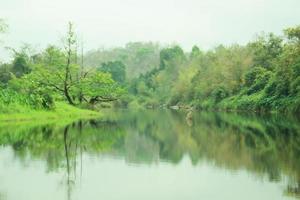 montagnes, rivières, ruisseaux, forêts photo