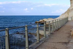 clôture dans le parc de la ville au bord de la mer méditerranée. photo