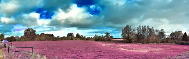 paysage fantastique magnifique et coloré dans un style infrarouge violet asiatique photo