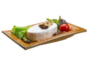 fromage brie doux frais photo