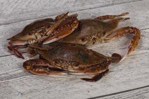 crabe cru - prêt pour la cuisson photo