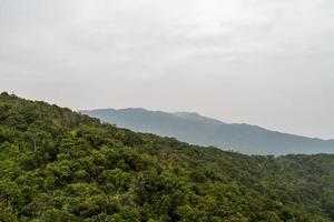 jungle chinoise, île de hainan photo