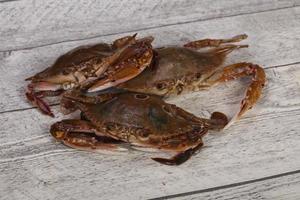 crabe cru - prêt pour la cuisson photo