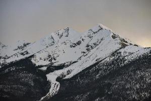 montagne couverte de neige photo