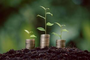 pile de pièces d'argent avec une plante de semis poussant sur fond d'environnement de nature verte. banque d'intérêt, idée de croissance des investissements des entreprises. prêt de croissance, épargne gagnant un concept économique, financier et comptable photo