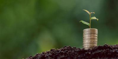 pile de pièces d'argent avec une plante de semis poussant sur fond d'environnement de nature verte. banque d'intérêt, idée de croissance des investissements des entreprises. prêt de croissance, épargne gagnant un concept économique, financier et comptable photo