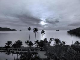 fond d'écran noir et blanc d'un paysage marin paisible au coucher du soleil et du ciel de l'océan avec le premier plan de la silhouette de noix de coco photo