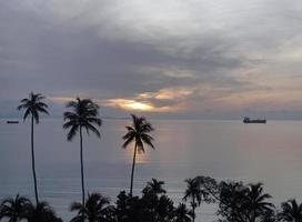 fond d'écran de paysage marin de coucher de soleil de lever de soleil de couleur pastel paisible et ciel d'océan avec le premier plan de silhouette de cocotiers photo