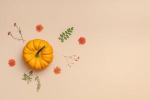 cadre fait de citrouilles fleurs et feuilles séchées photo