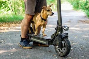 Gros plan sur les pieds d'un homme en baskets qui s'est arrêté avec son petit chien sur un scooter électrique dans un parc. photo