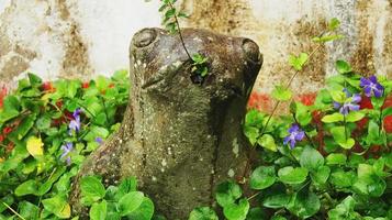 crapaud ou grenouille de pierre, en fontaine, entouré de plantes et de végétation fleurie, sculpture en pierre photo