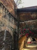 vieux bâtiment abandonné, la nature repousse la brique photo