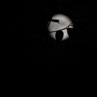 timelapse de la lune, laps de temps de stock - montée de la pleine lune dans le ciel sombre de la nature, la nuit. laps de temps de disque de pleine lune avec la lune s'allume dans le ciel noir de nuit. séquences vidéo gratuites de haute qualité ou timelapse photo