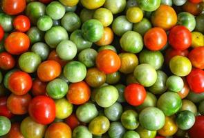 tomate fraîche rouge et verte sur fond de vigne de tomate cerise photo