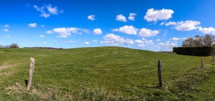 beau panorama haute résolution d'un paysage de pays d'europe du nord avec des champs et de l'herbe verte photo