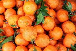 mandarines photo
