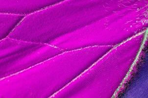 macro gros plan d'ailes de papillon violet dans le motif de fond de texture. photo