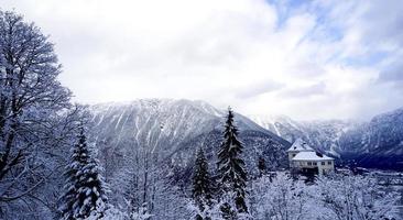 paysage de montagne de neige d'hiver hallstatt la forêt de pins dans la vallée des hautes terres photo