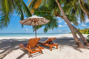 nature de plage tropicale comme paysage d'été avec chaises de couple, lits sous les palmiers, ciel de mer calme pour la plage. paysage de voyage de luxe, belle destination de lune de miel pour les vacances. côte de la plage photo