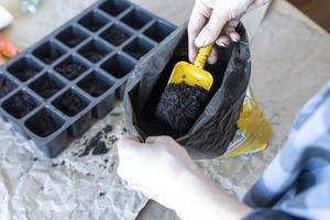 le processus de remplissage de pots pour semis avec de la terre photo