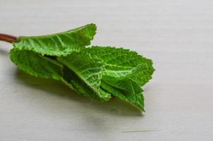 feuilles de menthe sur fond de bois photo