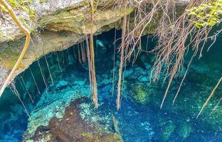 eau bleu turquoise grotte calcaire gouffre cenote tajma ha mexico. photo