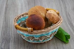 champignons sauvages sur panier en bois et fond blanc photo